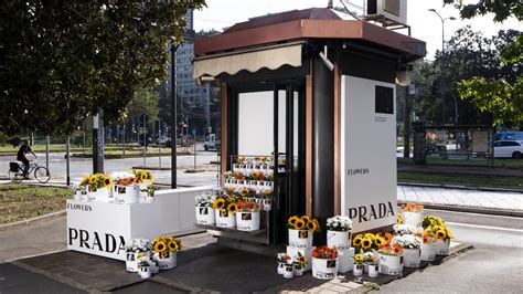 prada pop up flower